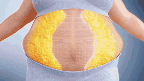 Midsection fat response to the compound